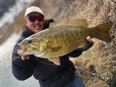 スモールマウスバスの釣果