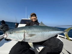 ハマチの釣果