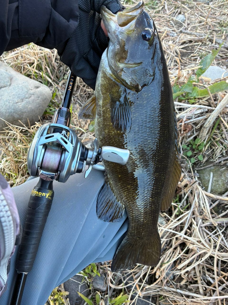 DAIWA 20リベリオン（センターカット2ピース スピニングモデル