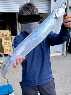 タチウオの釣果