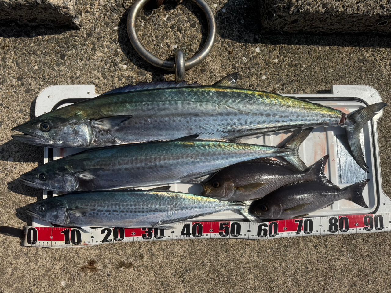 SHIMANO シマノ 23グラップラー タイプブレード s70-0 23 グラップラー Type ブレード S70-0 – つり具のBunBun.com