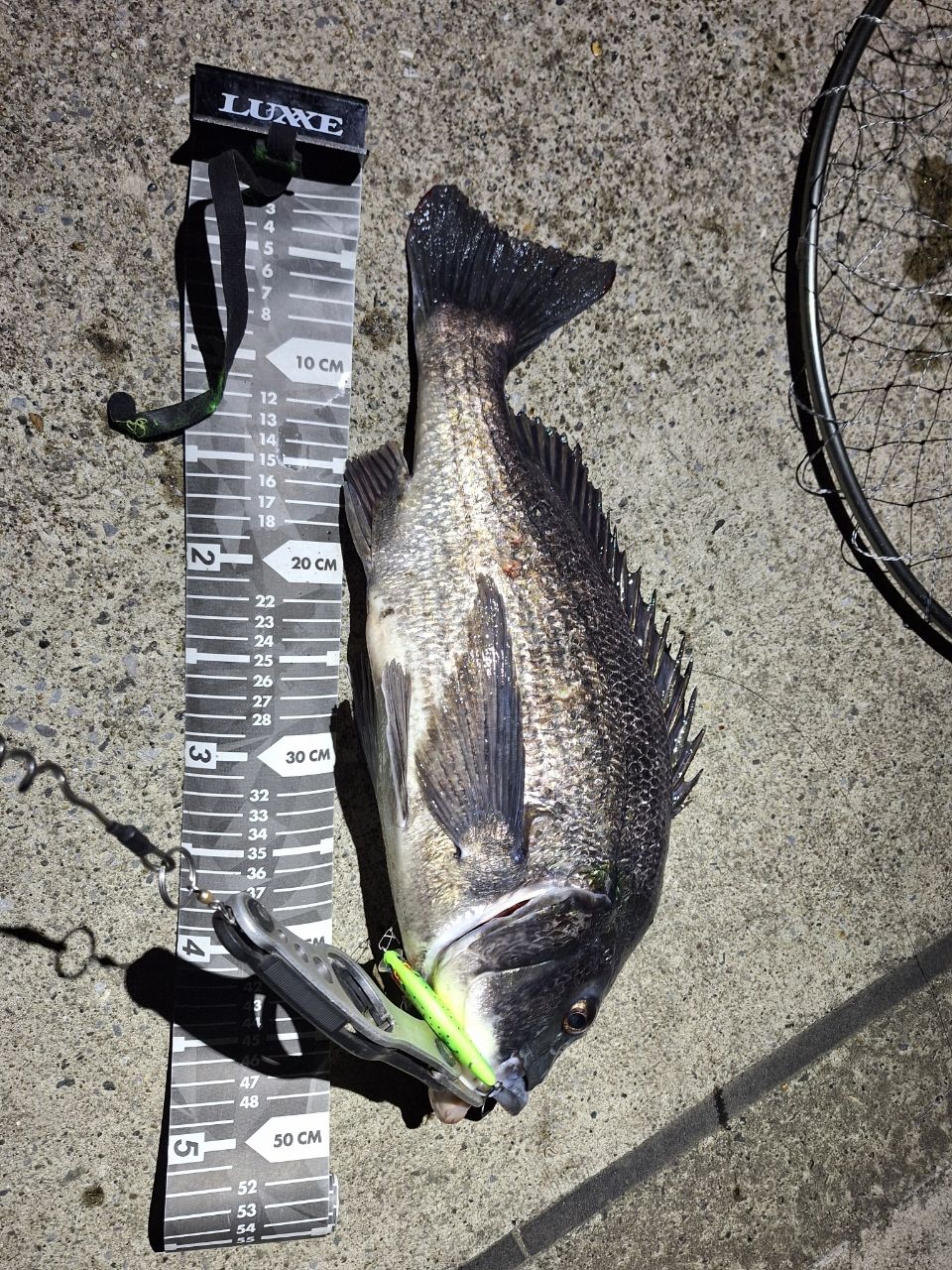 DAIWA 14ラブラックス AGS（スピニングモデル） 96MLの最安値