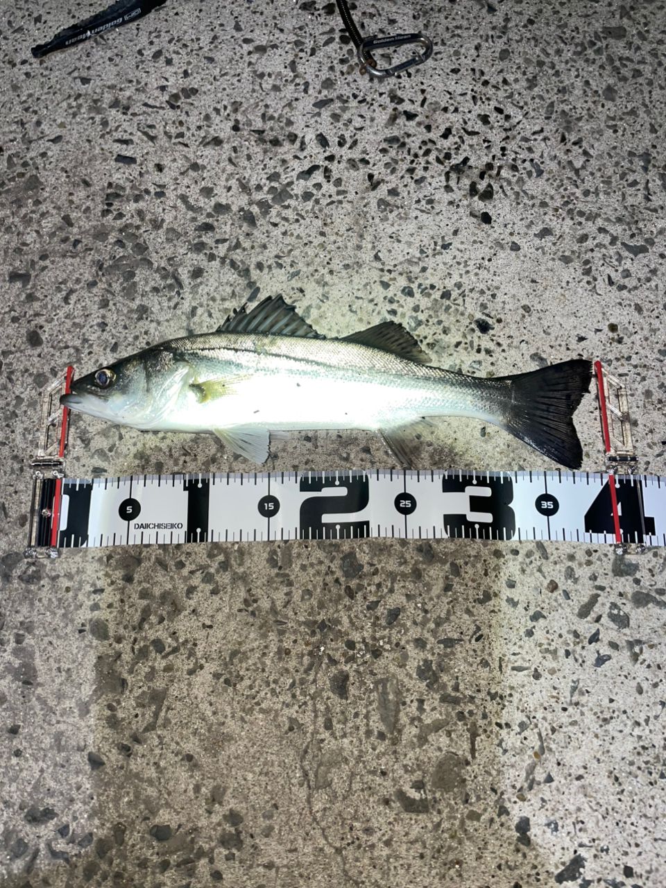 SHIMANO 21ソアレXR S64UL+-Sの最安値・インプレ・釣果 | 本音の口コミ