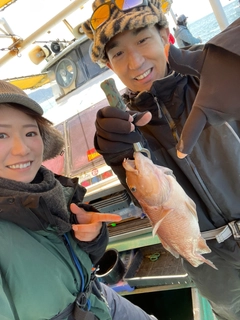コブダイの釣果