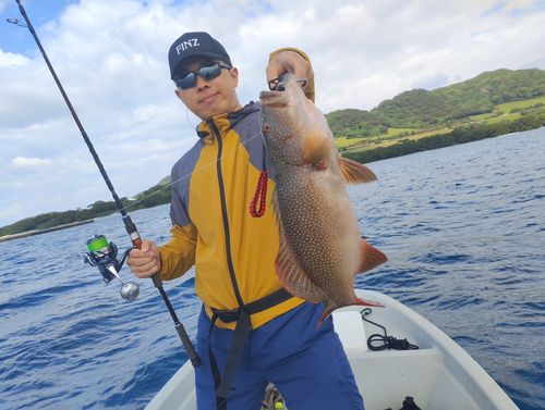 スジアラの釣果
