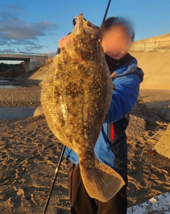 ヒラメの釣果