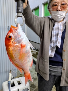 レンコダイの釣果