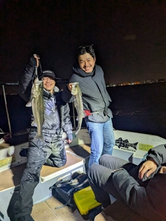 シーバスの釣果