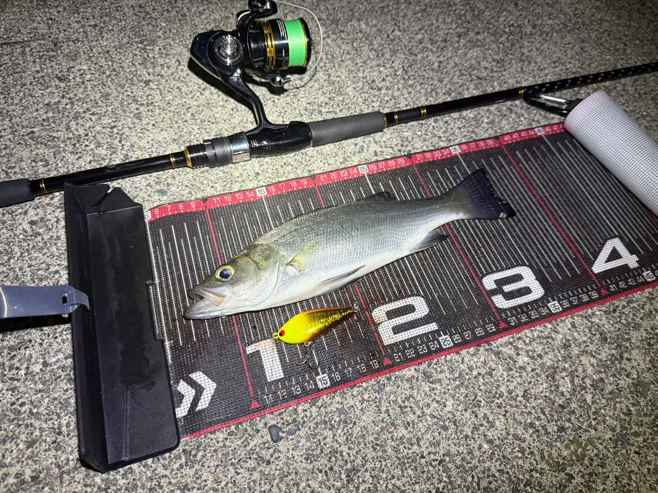 DAIWA 21シーバスハンター X 90ML・Rの最安値・インプレ・釣果 | 本音