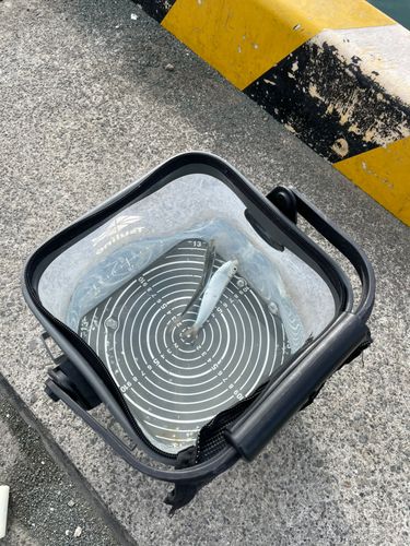 サッパの釣果