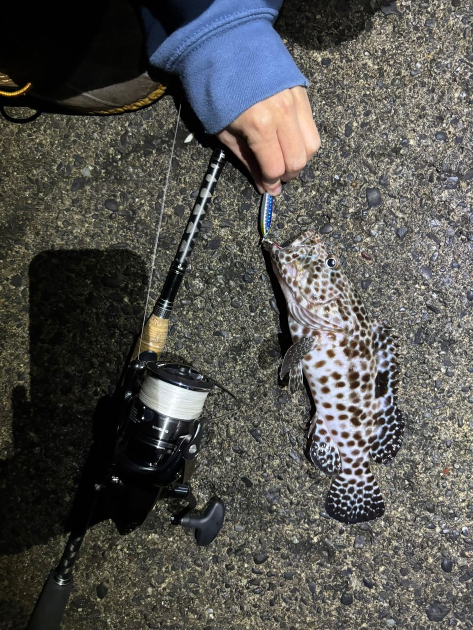 AbuGarcia ホーネットスティンガー プラス マルチピースモバイルモデル