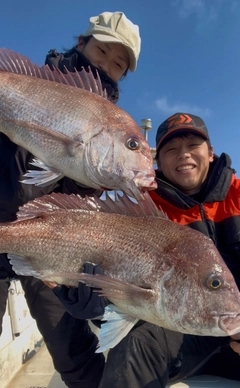 マダイの釣果