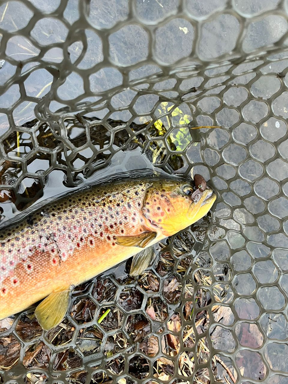 MajorCraft 新ファインテール エリア FAX-S5102ULの最安値・インプレ