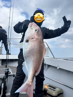 タイの釣果