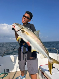 ヒラマサの釣果