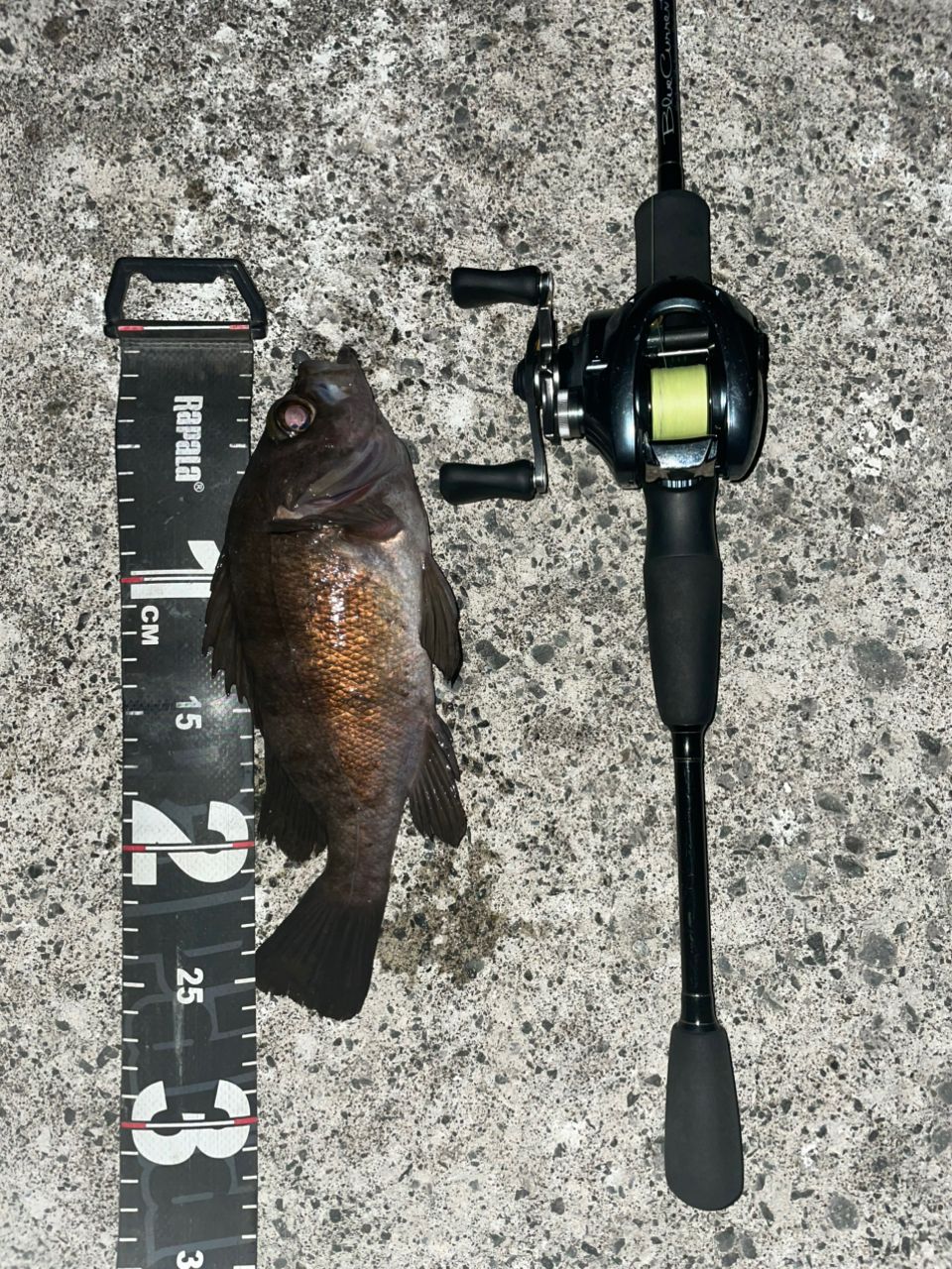 SHIMANO 22アルデバラン BFS XG LEFTの最安値・インプレ・釣果 SHIMANO 22アルデバラン BFS XG LEFTの最安値・インプレ・釣果