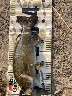 スモールマウスバスの釣果
