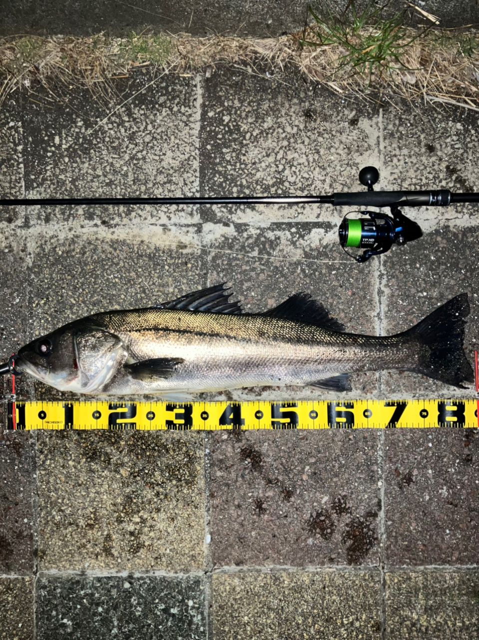 SHIMANO 18ディアルーナ S96MLの最安値・インプレ・釣果 | 本音の SHIMANO 18ディアルーナ S96MLの最安値・インプレ・釣果 | 本音の