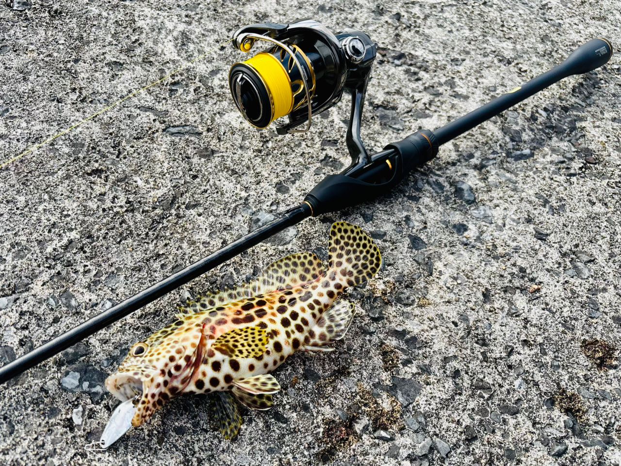SHIMANO 21ソアレXR S76UL-Tの最安値・インプレ・釣果 | 本音の口コミ
