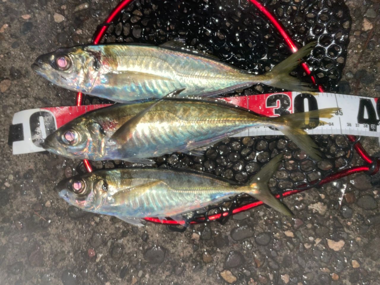 SHIMANO 22ソアレ SS S86ML-Tの最安値・インプレ・釣果 | 本音の口コミ
