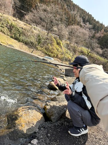 ニジマスの釣果