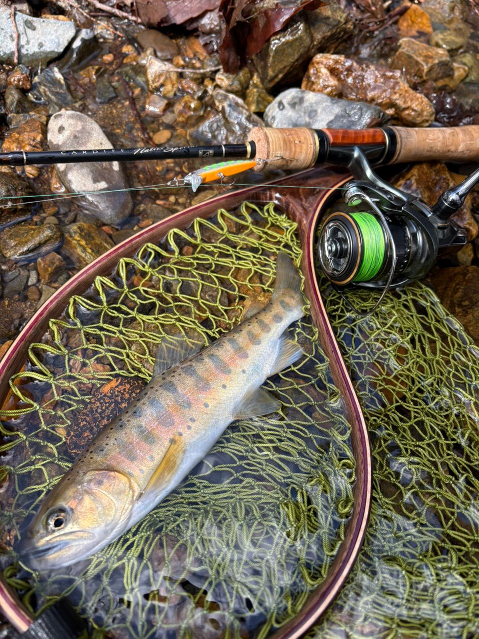 SHIMANO 19カーディフ ネイティブスペシャル S47UL-3の最安値