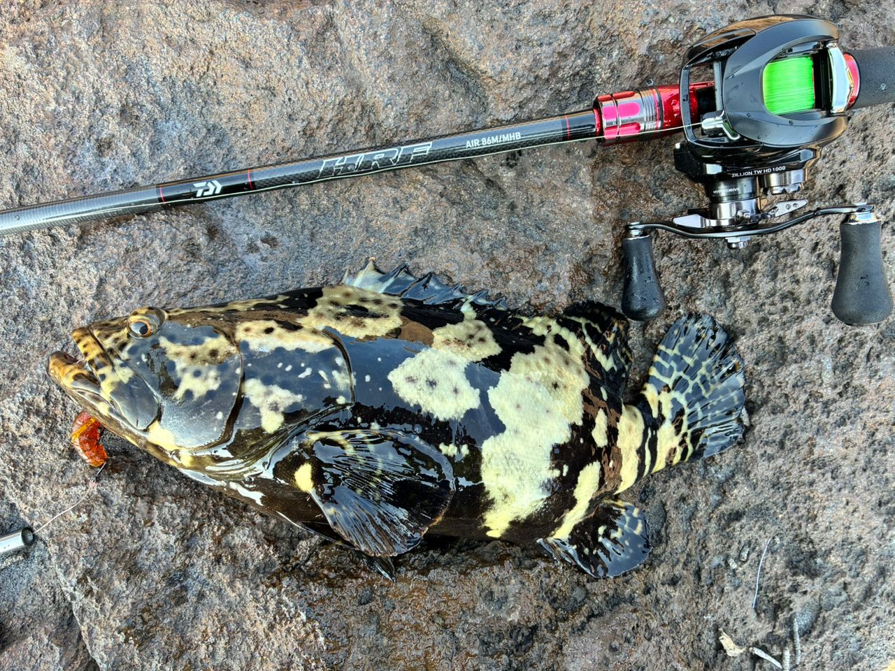 DAIWA 21HRF® (ハードロックフィッシュ) エア 86M/MHB・Nの最安値
