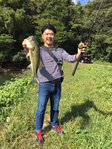 ブラックバスの釣果