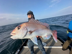 マダイの釣果