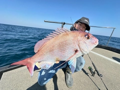 ブリの釣果