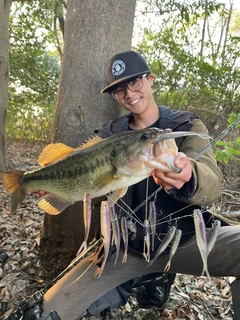 ラージマウスバスの釣果