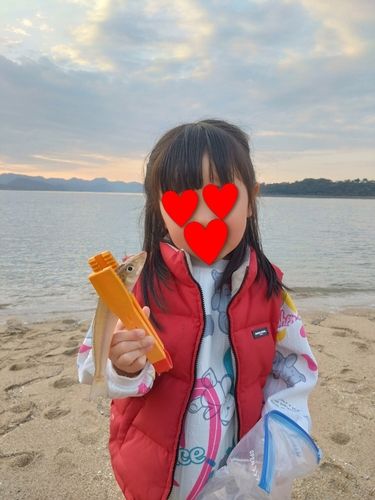 キスの釣果