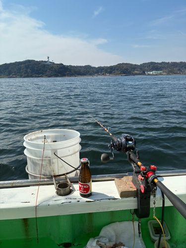 マアジの釣果