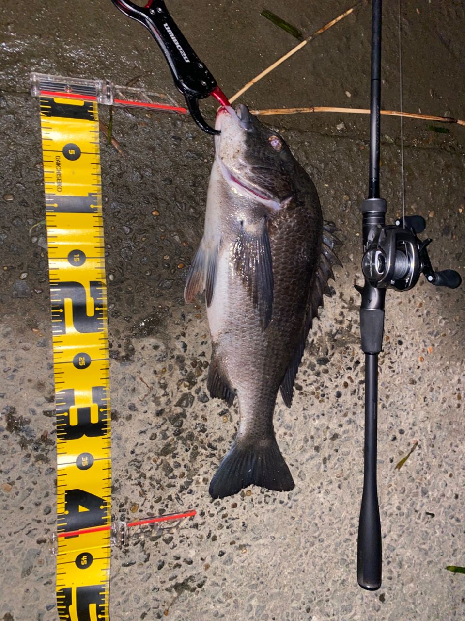 SHIMANO 23ディアルーナ B86MLの最安値・インプレ・釣果 | 本音 SHIMANO 23ディアルーナ B86MLの最安値・インプレ・釣果 | 本音