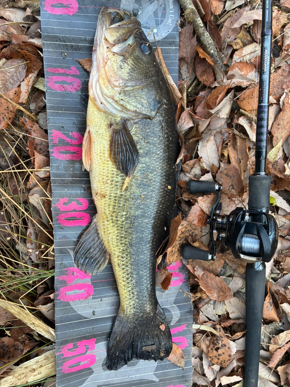DAIWA 18ハートランド 721HRB-18の最安値・インプレ・釣果 | 本音の