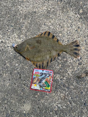 釣果