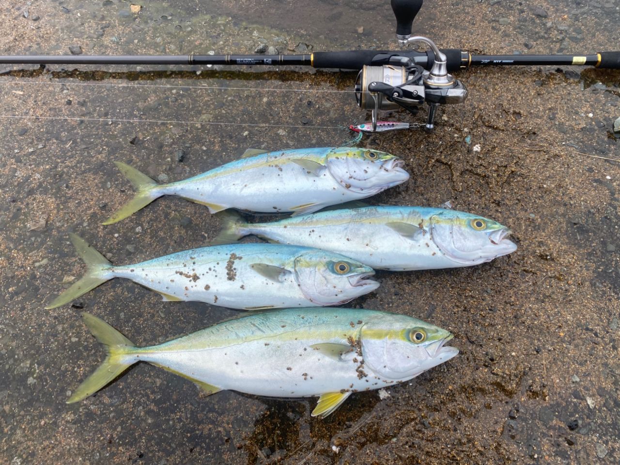 DAIWA 19ラテオ R 90MLの最安値・インプレ・釣果 | 本音の口コミが