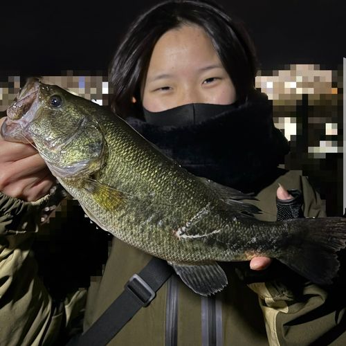 太平洋で釣れたブラックバスの釣り・釣果情報 - アングラーズ | 釣果