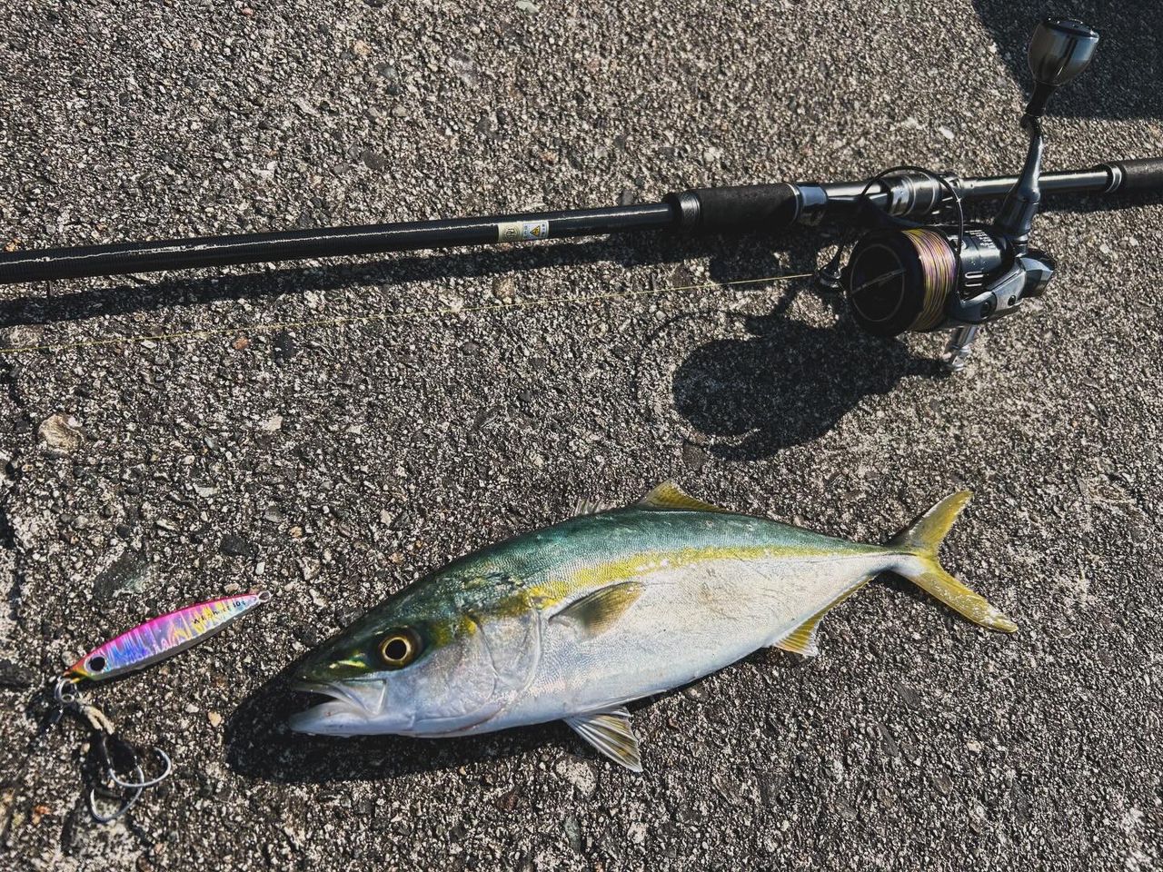 TORAY スーパーストロング PE X8 100m連結 2.0号/30.0lb/パープル