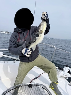 タイの釣果