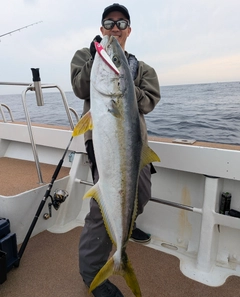 ヒラマサの釣果