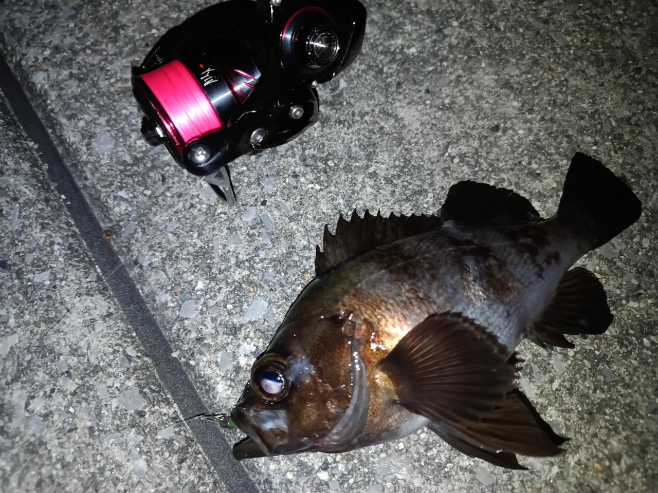 DAIWA 21月下美人 MX 74UL-S・Nの最安値・インプレ・釣果 | 本音 DAIWA 21月下美人 MX 74UL-S・Nの最安値・インプレ・釣果 | 本音