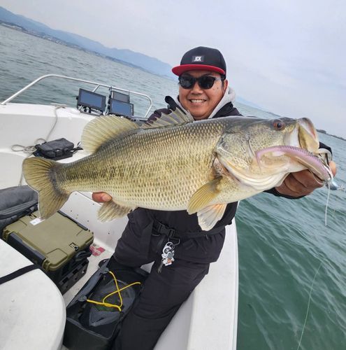 下物で釣れたブラックバスの釣り・釣果情報 - アングラーズ | 釣果600