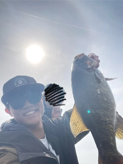 スモールマウスバスの釣果