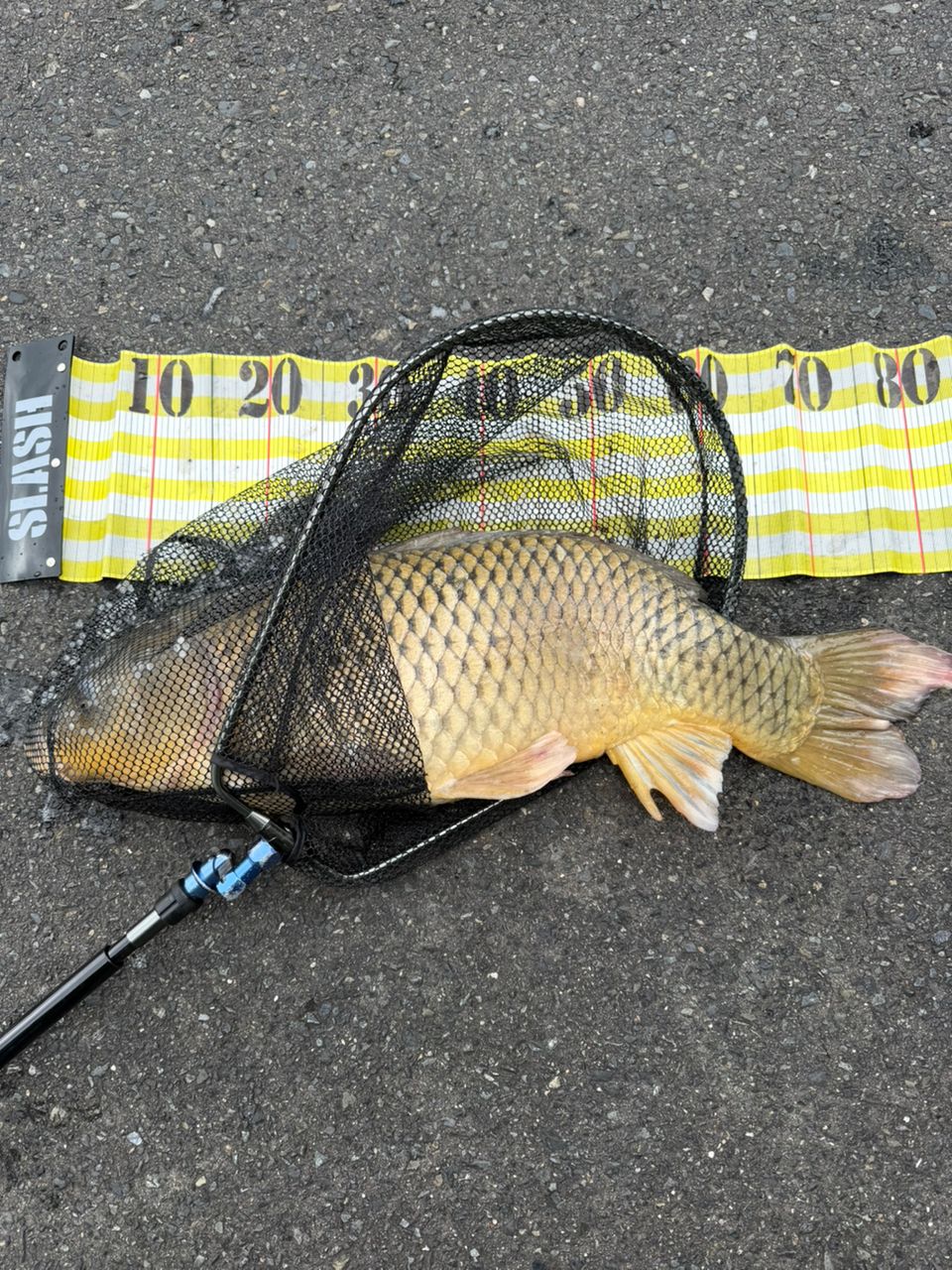 DAIWA 20リベリオン（センターカット2ピース スピニングモデル） 642L
