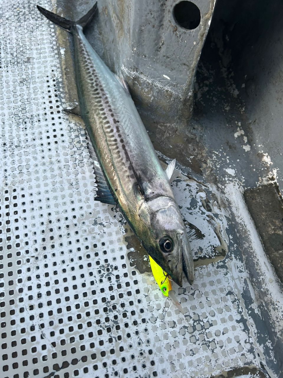 DAIWA 22ラブラックス AGS BS（ボートシーバス） 64MSの最安値