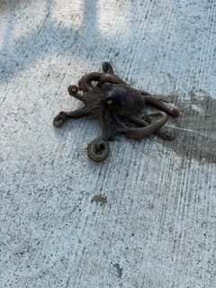 タコの釣果