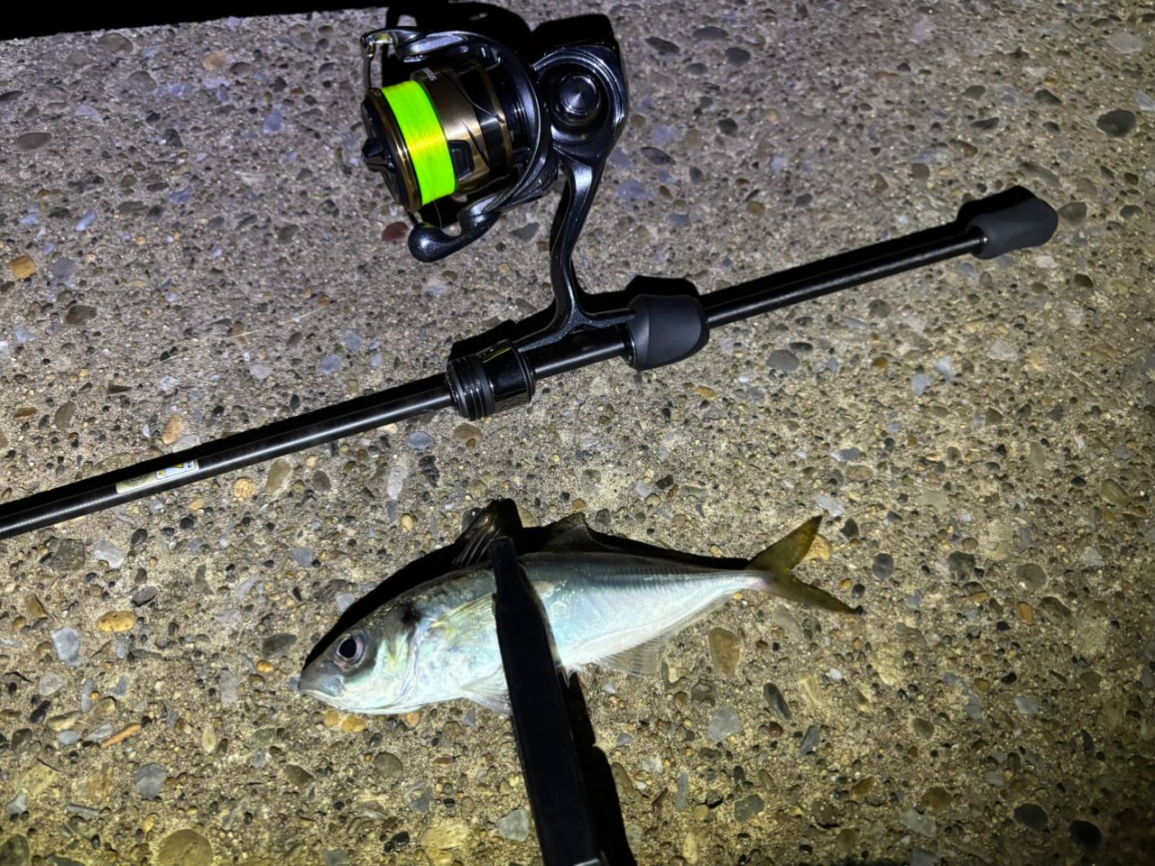 AbuGarcia エラディケーター リアルフィネス プロトタイプ ERFS-51Pro
