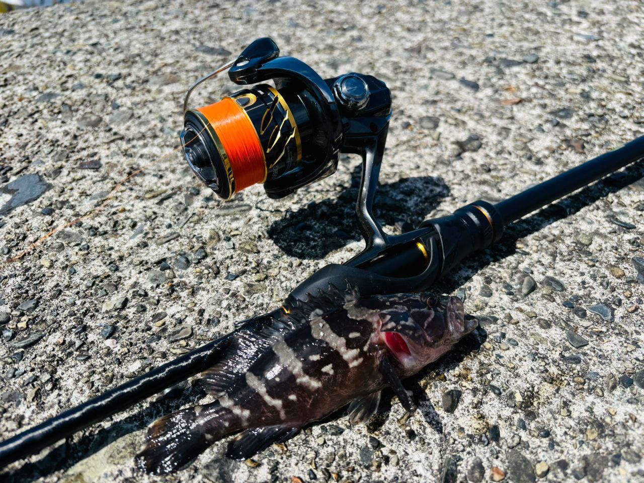 SHIMANO 21ソアレXR S76UL-Tの最安値・インプレ・釣果 | 本音の口コミ