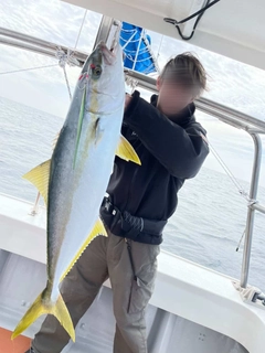 ヒラマサの釣果